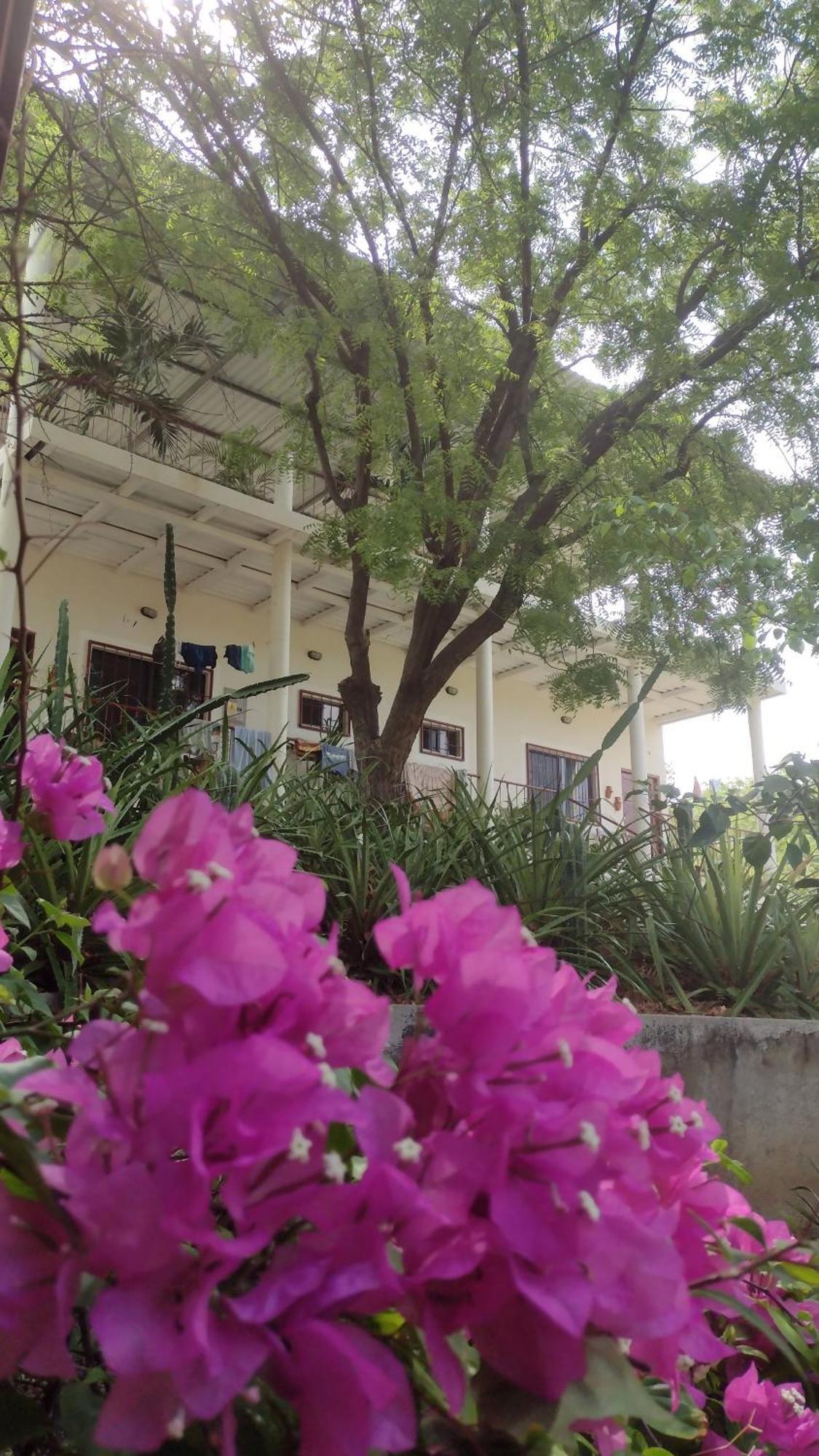 Casa Todo Bueno Bed and Breakfast Transito Εξωτερικό φωτογραφία