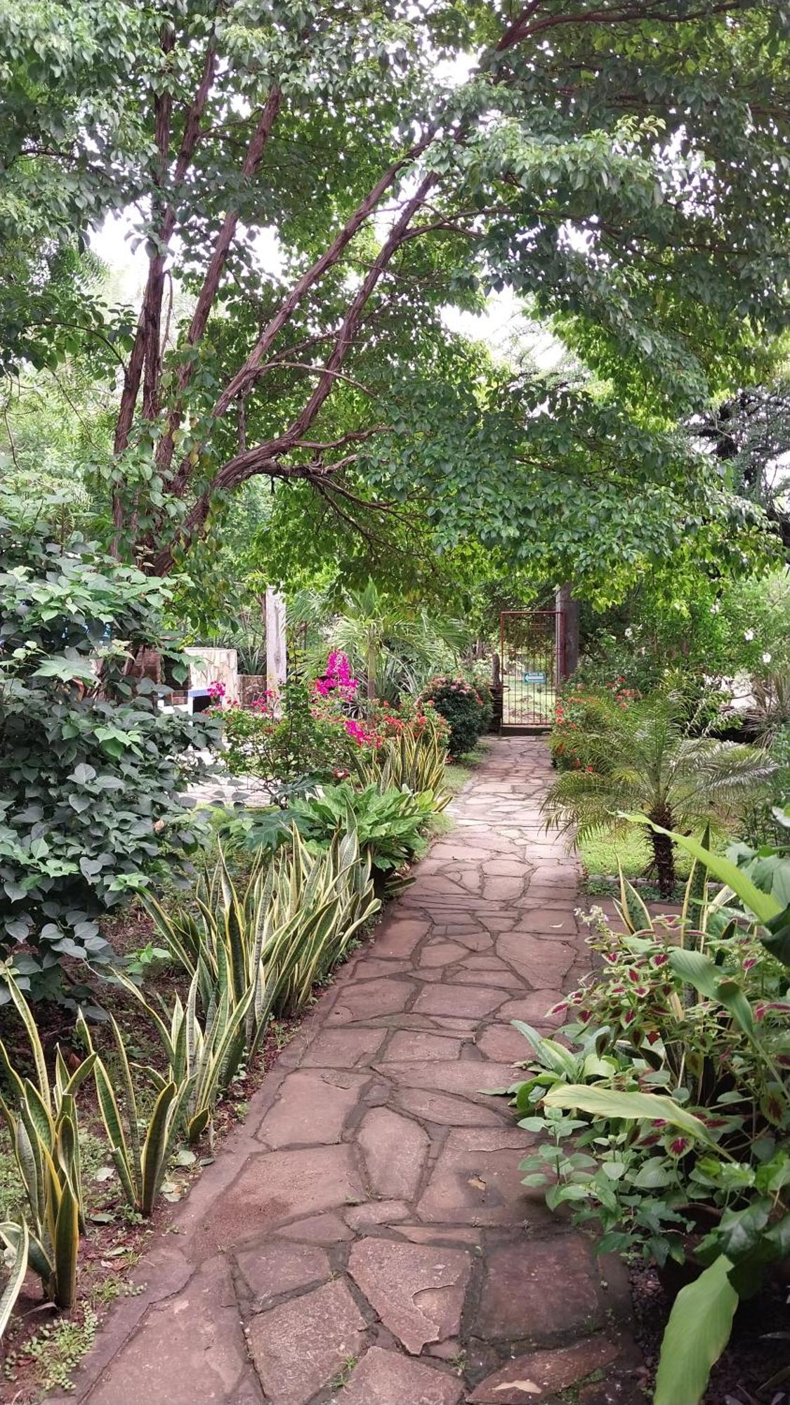 Casa Todo Bueno Bed and Breakfast Transito Εξωτερικό φωτογραφία