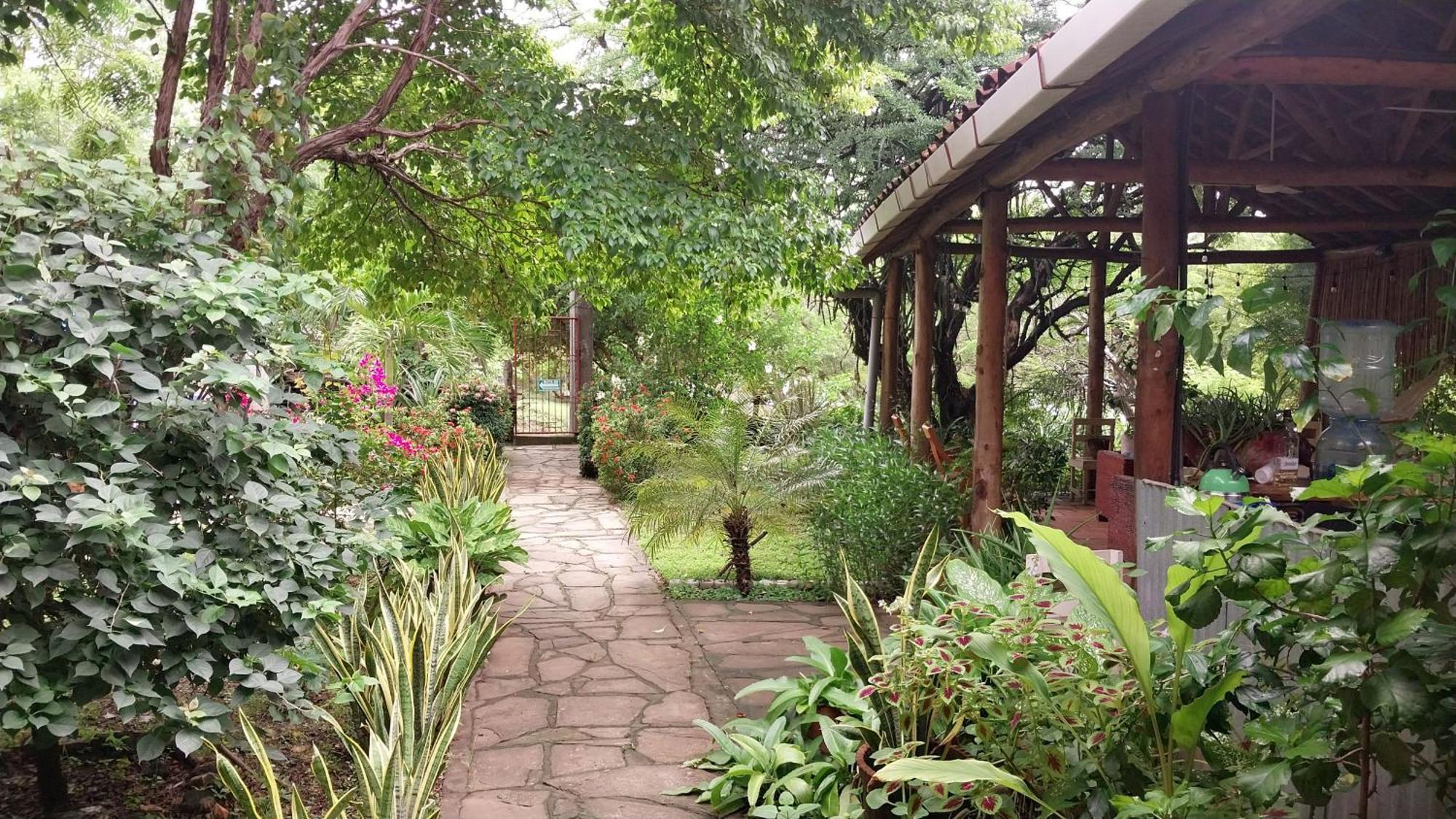 Casa Todo Bueno Bed and Breakfast Transito Εξωτερικό φωτογραφία